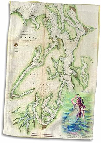 Impressão de rosa 3d de mapa de som náutico vintage puget twl_214252_1 toalha, 15 x 22