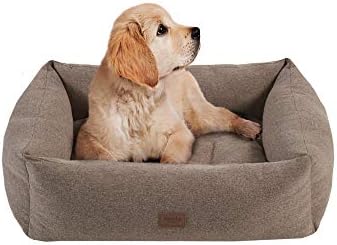 Martha Stewart Charlie Modern Dog Lounge Sofá, camas macias de animais de estimação almofada, capa removível lavável para máquina, travestos