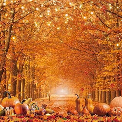 8x8ft Durável/Soft Fabric Photography Backdrop Autumn Maple Forest Leaves Friendsgiving Pumpkin Background Ação de