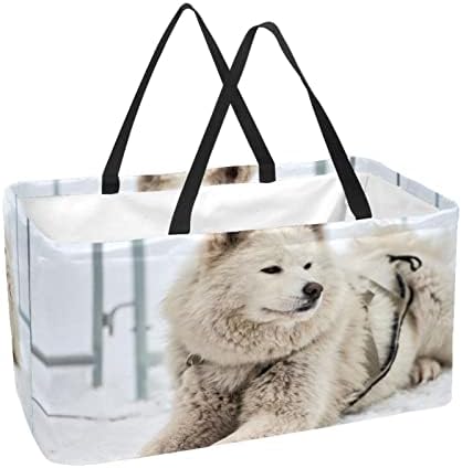 Reutilizável Shopping Shopping Sled Sled Dog Face In The Snow portátil Dobring Picnic Grocery Bags
