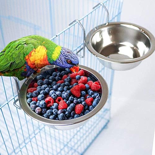 OCHSTIN 2 PACO BAY alimentador de pássaros tigelas pratos de aço inoxidável cooperados com gancho de arame, papagaio para alimentação
