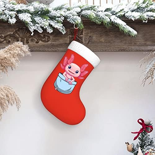 Waymay Pocket Cute Axolotl Christmas Staking 18 polegadas de Natal de Holding Sock Classic Holiday Decoration meias