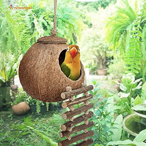 NITEANGEL Hideaway de coco natural com escada, pássaro e brinquedo de pequenos animais
