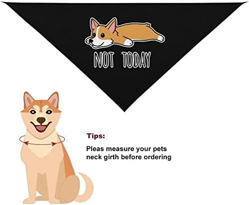 Hoje não hoje corgi adorável bandana de cachorro padrão triângulo de estimação de cachorro lavável para cães pescoço