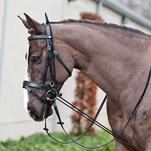 Horze 10 'elástica ajustável maca de pescoço | Ajuda de treinamento para cavalos