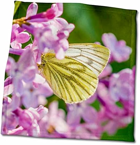 3drose Garden Butterfly Butterfly em um conjunto de flores lilás rosa - toalhas