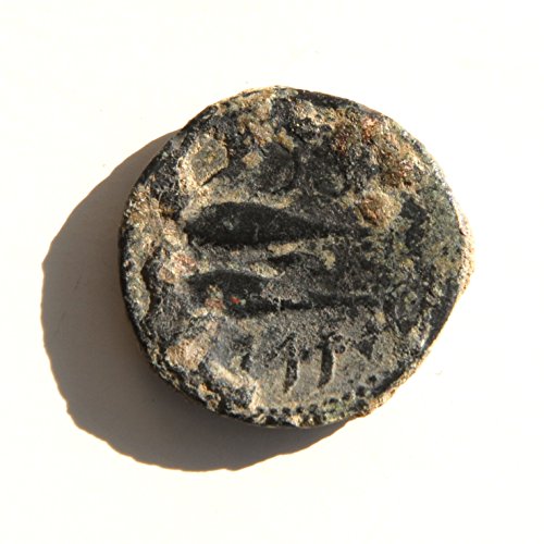ES do século III aC Espanha Gades Pre Roman, 237 aC. Dois peixes de atum 7 moeda muito boa