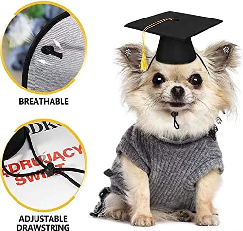 2 peças Pet Graduation Caps Black Cats Chaneiros de graduação de cachorro com gravata cosplay de animais de estimação para pequenos