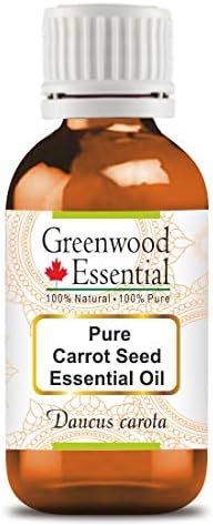 Greenwood Essential Cenoura Pure Seed Oil Essential Steam destilado 10ml
