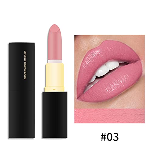 Xiahium Earth Lipstick 24 cores de veludo batom liso Longa longa e não -bastão Copo nua de maquiagem labial para meninas e mulheres