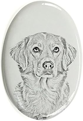 Nova Escócia Pato Tolling Retriever, lápide oval de azulejo de cerâmica com uma imagem de um cachorro