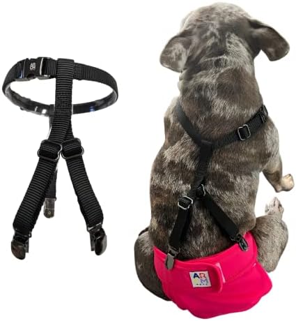 ARCM Pets Halos Pet & Dog Suspenders | Garantido sem estrangulamento e sem escapar | Ideal para manter fraldas de estimação