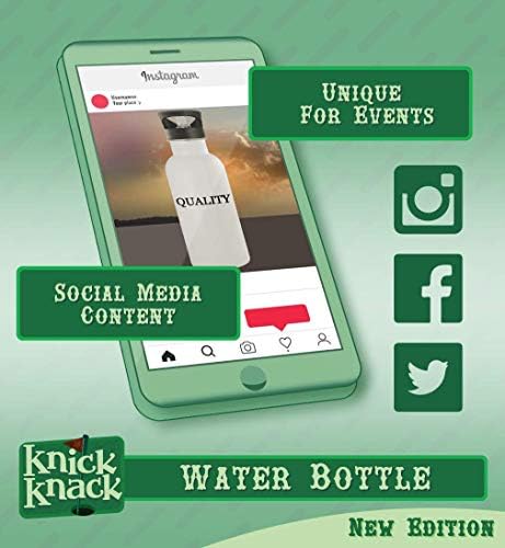 Presentes Knick Knack Venning - 20 onças de aço inoxidável garrafa de água, prata