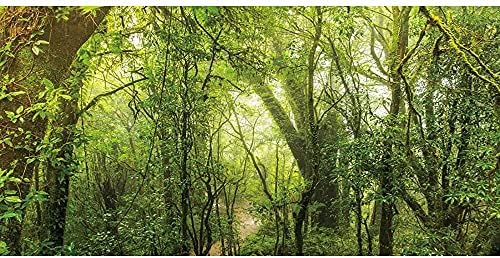 Avisar um fundo de terrário da floresta profunda Fundamento de aquário da floresta tropical do sol nebuloso e enormes árvores