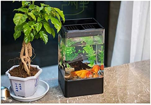 Mini Micro Paisagem Aquário de AMORPETET Small Tank Tank Tanque Pequeno Ecologia Personal Ecologia Multifuncional Aquário Criativo