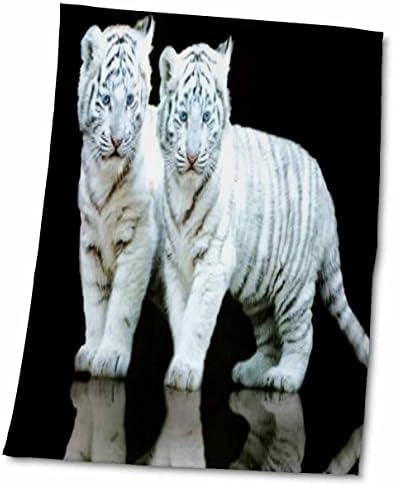 3drose florene Animals - Cubs de tigre branco - toalhas