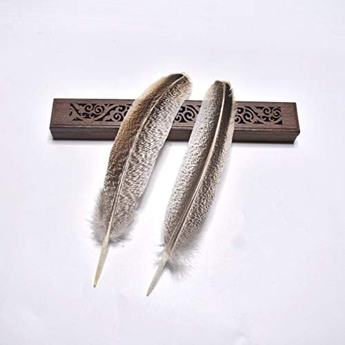 Penas de águia para artesanato natural 22-27cm Diy Jewelry Decoration Collection Cheetdress Jóias de joias - 200 PCs - Zamihalaa