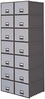 Caixa de armazenamento de arquivos do Arquivo do Storex