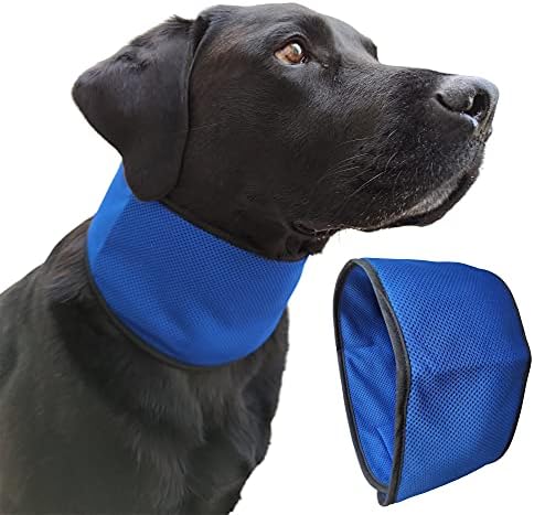 Lautus Pets Dog Refriante Bandana/Collar