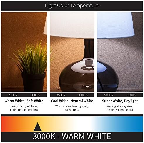 Sunlite 81126 LED Filamento G16.5 Globe 3 Lâmpada clara e diminuída, 3000k Warm White