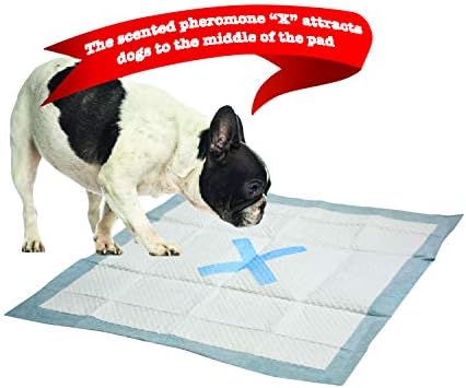 Spot X marca o ponto extra absorvente almofadas de xixi | Almofadas de cachorro | Almofadas de filhotes com adesivo |