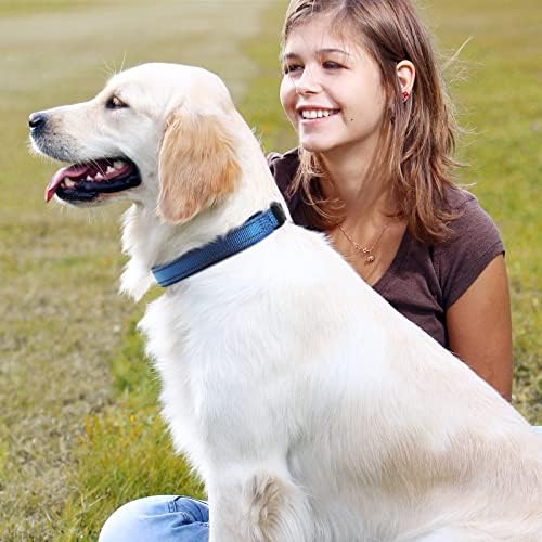 Colarinho de cachorro reflexivo de masbrill, colares de náilon ajustáveis ​​para cachorros para cachorros pequenos cães médios grandes e extras, com um clicker de treinamento para cães para gatos treinamento comportamental