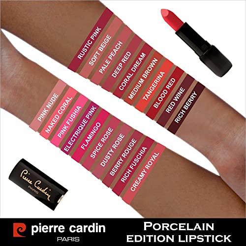 Edição de porcelana Lipstick fosco com duradouro - Cosméticos/maquiagem Lip Stick