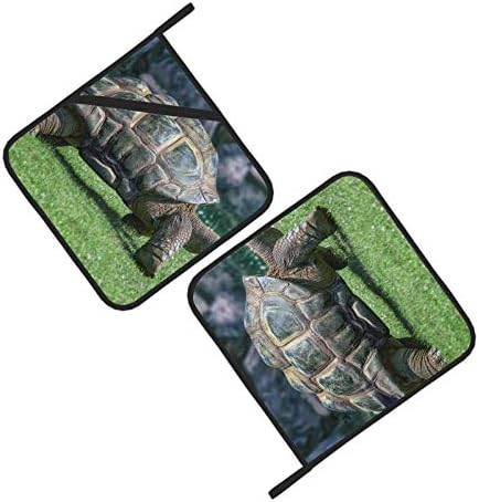 Tartarugas gigantes em terrenos Hot Pad Resistentes de calor Pote com bolsos 2 PCs Hot Pad 8 × 8 polegadas para cozinhar e