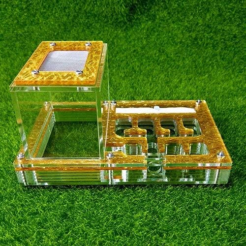 Syxysm Ant Housing Nest Cage Farms Feed acrílico caixa