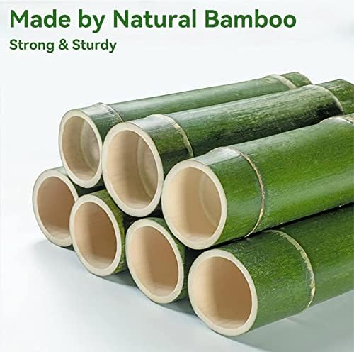 Rack de sapato de bambu dobrável Rack de bambu FREE