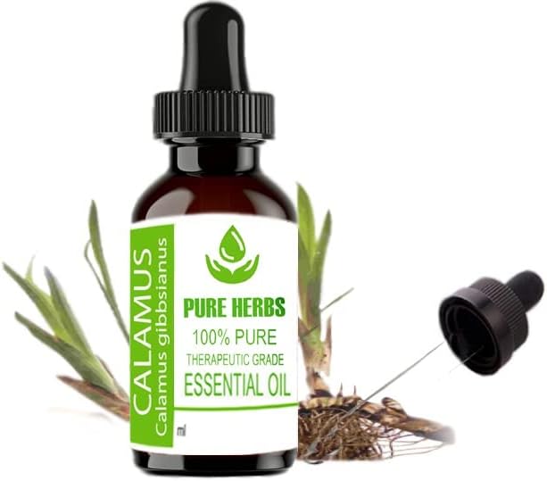 Ervas puras calamus puro e natural terapêutico Óleo essencial 30ml