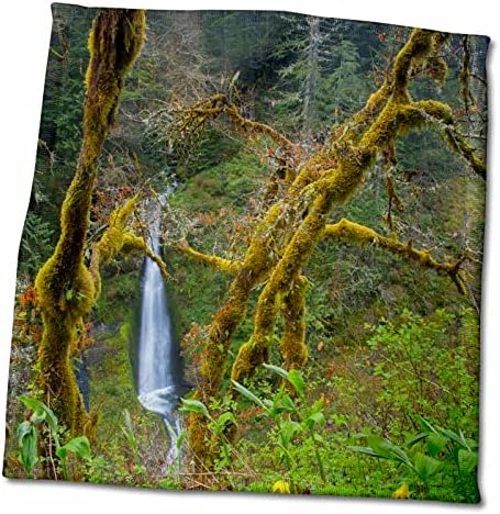 3drose USA, Oregon, Columbia Gorge. Loowit Falls e Fawn Lily, Eagle Creek. - Toalhas