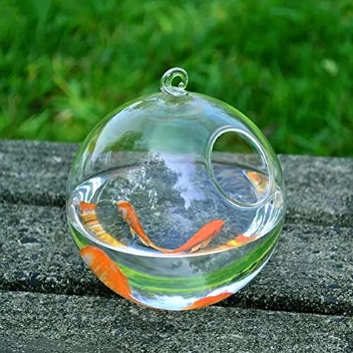 Dlvkhkl 1 conjunto redonda de vidro pendurado aquário aquário de peixe tanque de peixe vaso de planta de flores transparente
