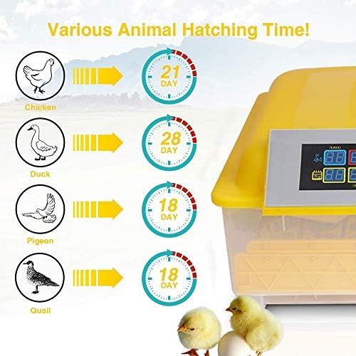 ALREMO 103234536 Incubadora de ovo Digital 48 para eclodir ovos com controle automático de temperatura e umidade
