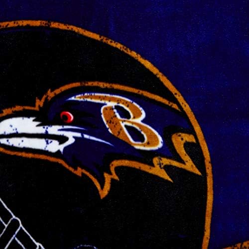 Northwest NFL Unisex-Adult Raschel Throw Blanket