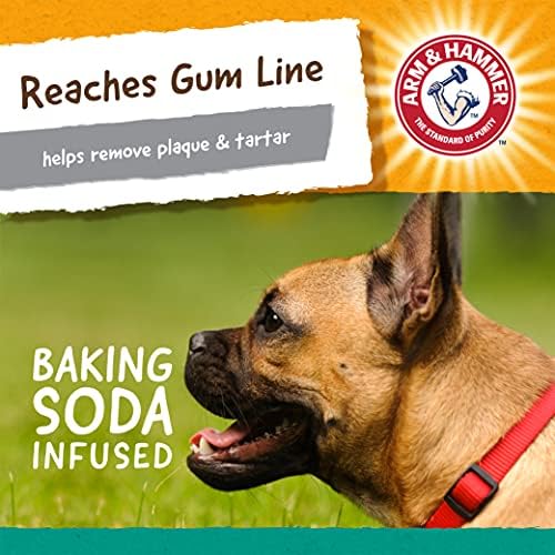 ARM & HAMMER PARA PETOS ORA-PLAY TO BONE TO DENTAL TRINHADO PARA COMAS-24 PACK | Melhor brinquedo para mastigar cachorros