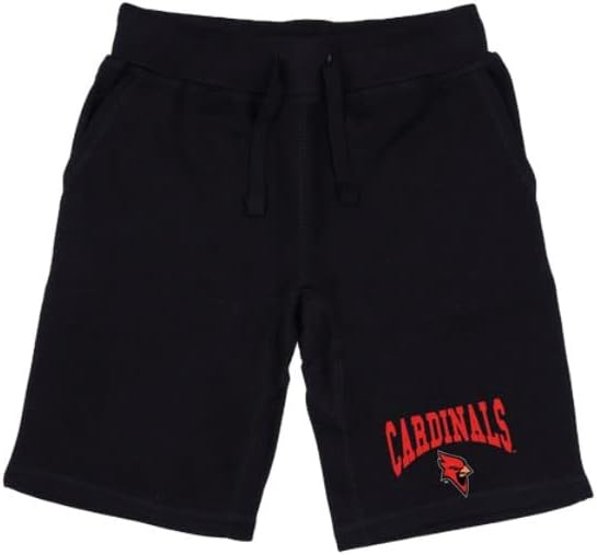 York College Cardinals Premium College College Lamestring Shorts