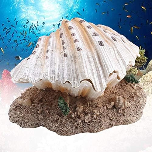 Bolha de concha de aquário, decoração de recifes de coral Ação de ornamento de peixe decoração de pérola do tanque
