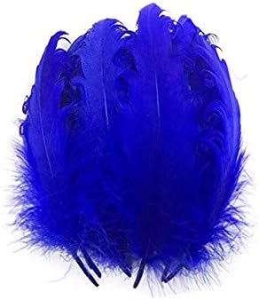 VideOPUP 20pcs azul penas de ponta enrolada 12-17cm Pontas de penas naturais Plume Pleas para DIY, arte, festa, casamento, figurino,