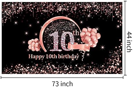 Decorações de 10º aniversário para meninas, suprimentos de decoração de festa de 10 anos, ouro rosa e rosa Feliz dez