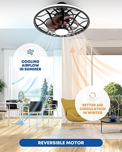 Nooknova 20 '' LED silencioso Montagem inteligente Montagem de baixo perfil Formulador de teto enjaulado com luzes, preto rústico