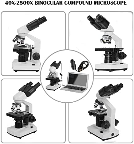 Microscópio de composto binocular 40x-2500x com ocular eletrônica ， WF10X e WF 25X Microscópios de laboratório de laboratório com estágio