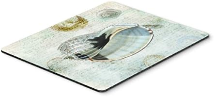 Tesouros de Caroline SB3028MP Conch Conch Shell em Blues Mouse Pad, Pad Hot Pad ou Trivet, para jogos de escritório em