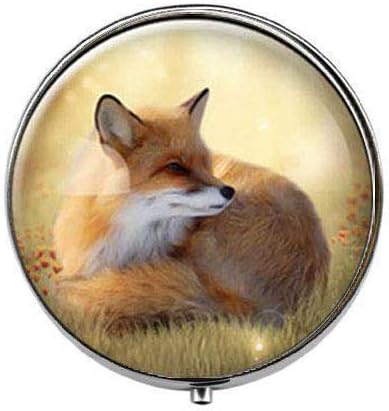 Fox Fox - Art Photo Pill Box - Charm Pill Caixa - Caixa de doces de vidro