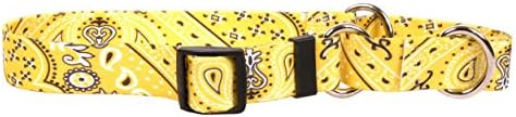 Amarelo Design de cães Martingale Slip Collar, Bandana Yellow, Extra Small 10