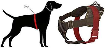Arnês de cães de nylon multifuncional para caminhar e treinar - tamanho L