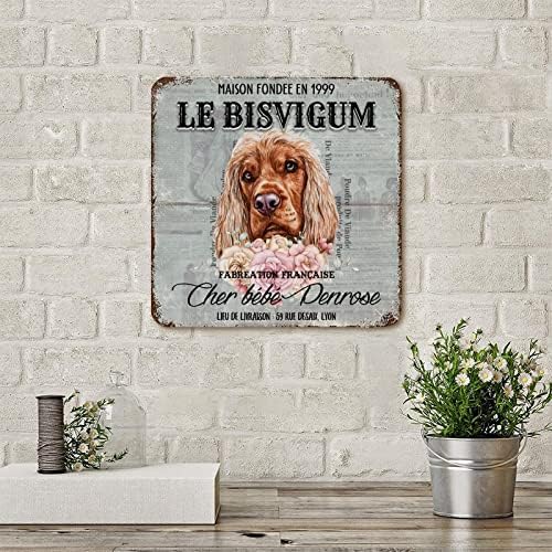 Funny Dog Metal Placa Placa personalizada estro Ano Nome do cão de animais de estimação French Retro Pet Dog Dog Pomer Poster de metal