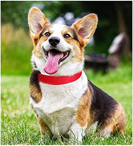 Sépxufore Red Dog Collar, Nylon Dog Collar, colar de cachorro ajustável clássico, 5 tamanhos para cachorros pequenos cães de ex-grande
