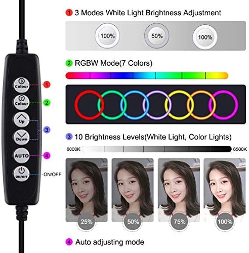 Puluz 4 em 1 VLogging Live Broadcast Smartphone Video Rig + Kits de luz de selfie de LED de anel de 4,6 polegadas com microfone