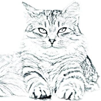 Art Dog Ltd. Siberiano Gato, lápide oval de azulejo de cerâmica com uma imagem de um gato